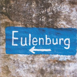 Har ni fått svartmögel hemma?